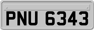 PNU6343