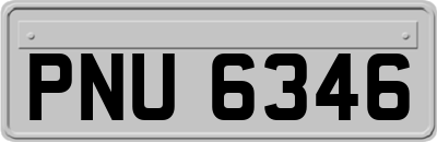 PNU6346