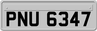 PNU6347