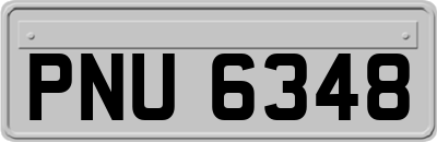 PNU6348
