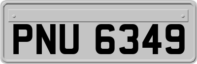 PNU6349