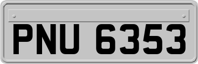 PNU6353