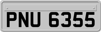 PNU6355