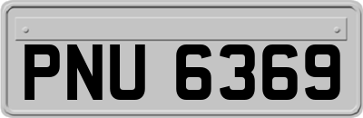 PNU6369