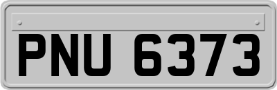 PNU6373