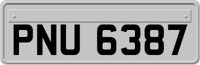 PNU6387