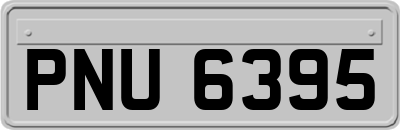 PNU6395