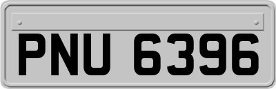 PNU6396