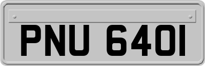 PNU6401