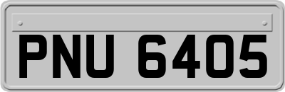 PNU6405