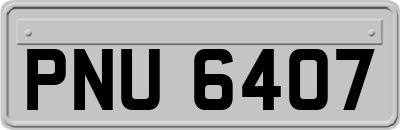PNU6407