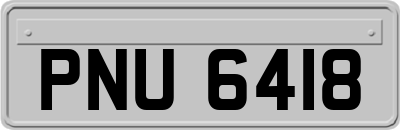 PNU6418