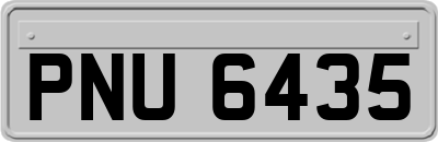 PNU6435