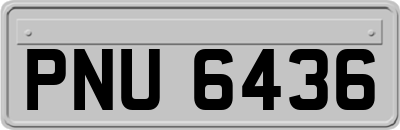 PNU6436