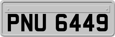 PNU6449