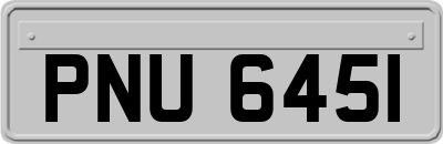 PNU6451
