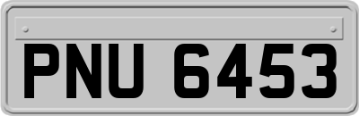 PNU6453