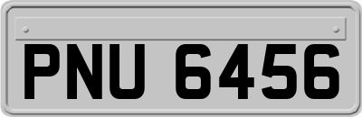PNU6456