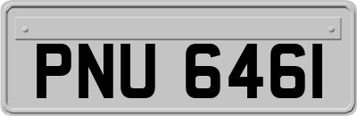 PNU6461