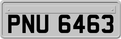 PNU6463