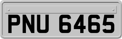 PNU6465