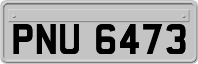 PNU6473