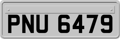 PNU6479