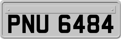 PNU6484