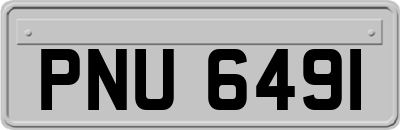 PNU6491