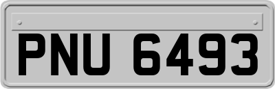 PNU6493
