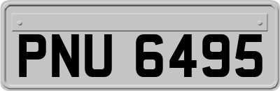 PNU6495