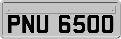 PNU6500