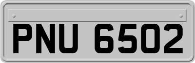 PNU6502