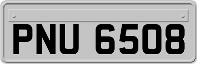 PNU6508