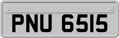 PNU6515
