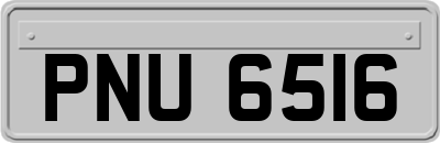PNU6516