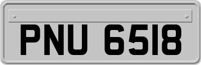 PNU6518