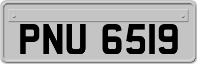 PNU6519