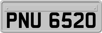 PNU6520