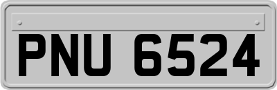 PNU6524