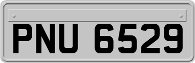 PNU6529