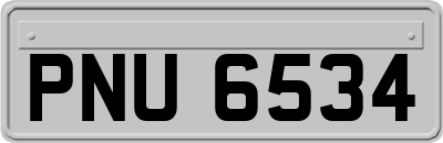 PNU6534