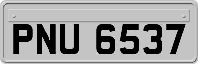 PNU6537