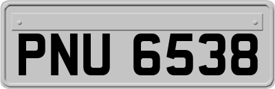 PNU6538