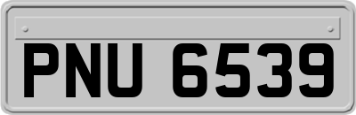 PNU6539