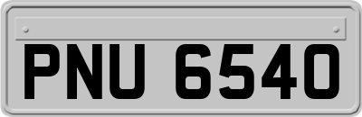 PNU6540