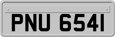 PNU6541
