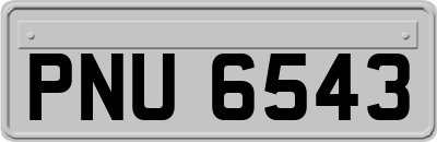 PNU6543
