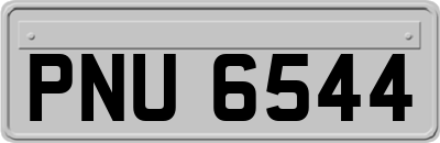 PNU6544