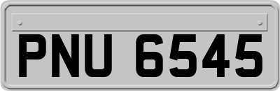 PNU6545